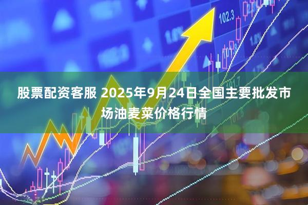 股票配资客服 2025年9月24日全国主要批发市场油麦菜价格行情