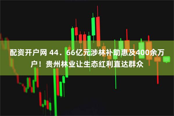 配资开户网 44．66亿元涉林补助惠及400余万户！贵州林业让生态红利直达群众